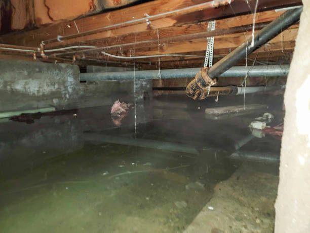 Best 24-hour water damage restoration  in Russells Point, OH