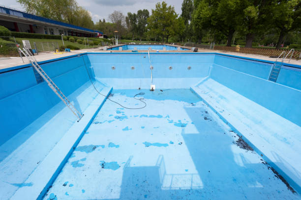 Best Mold removal after water damage  in Russells Point, OH