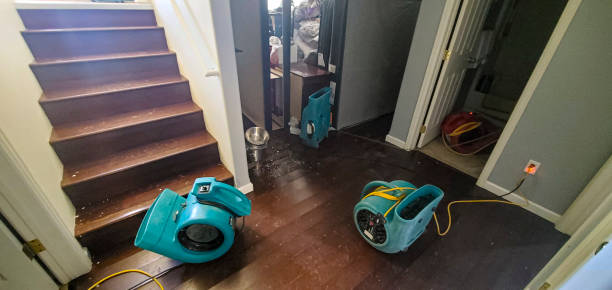 Best Carpet water damage restoration  in Russells Point, OH