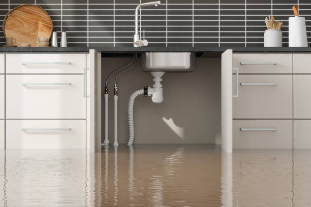  Russells Point, OH Water damage restoration Pros